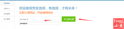 凭安信用站长成长计划